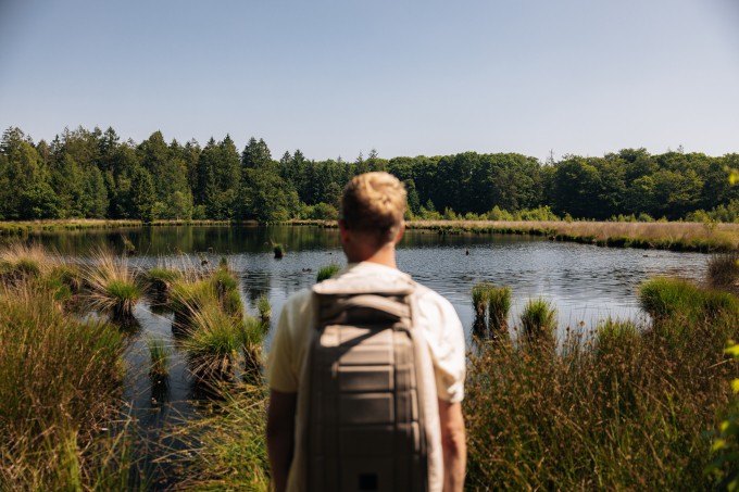 Grolloo-Natuur-Timmerholt.jpg