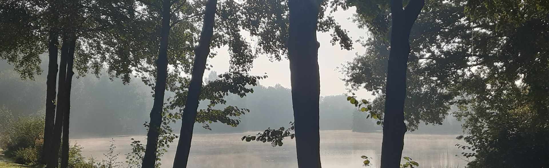 Herfst Timmerholt 2025.jpg