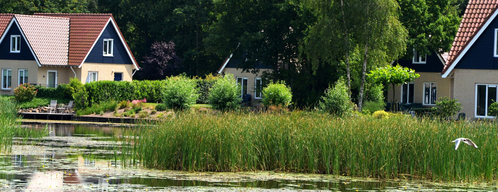 natuur op het park