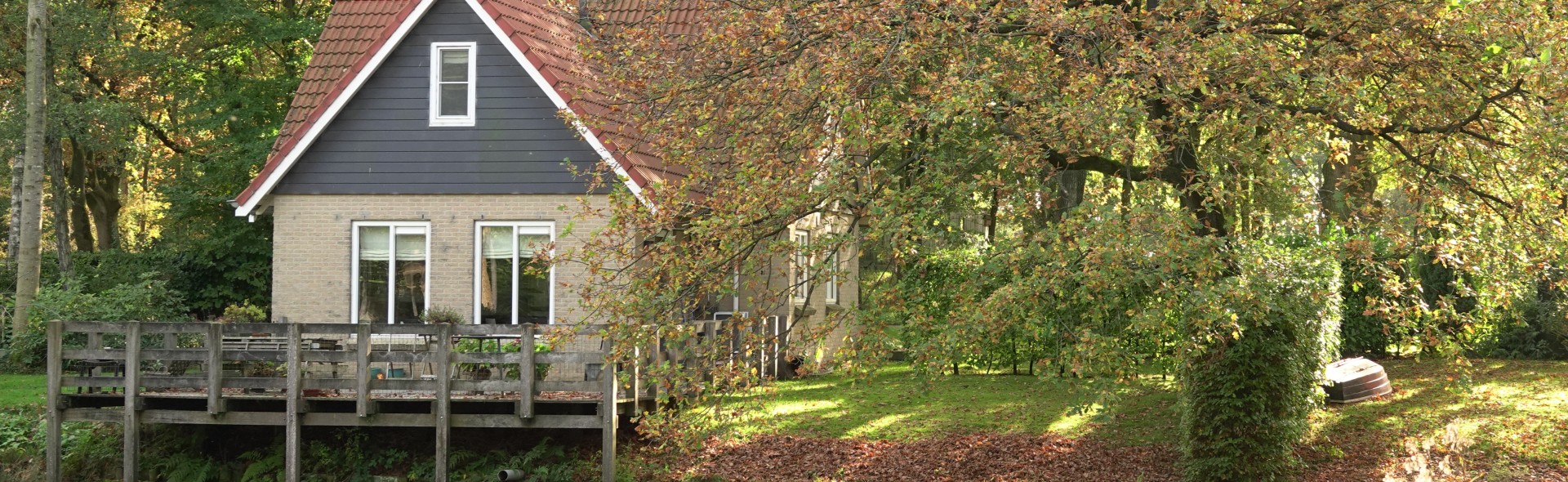 Herfst Timmerholt 2025-2.jpg
