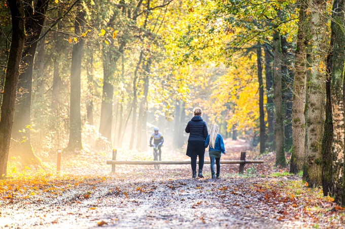 Herfst-Hoogeveen-Timmerholt.jpg