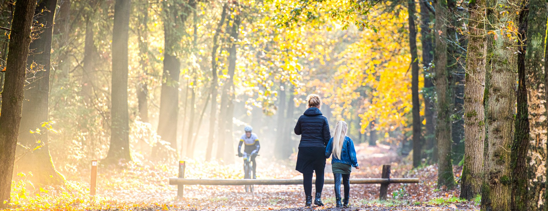 Herfst-Hoogeveen-Timmerholt.jpg