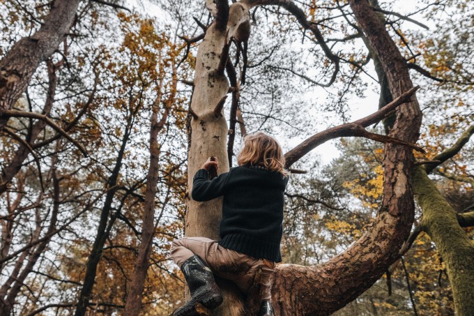 Bomen klimmen+Wandelen+Timmerholt.jpg