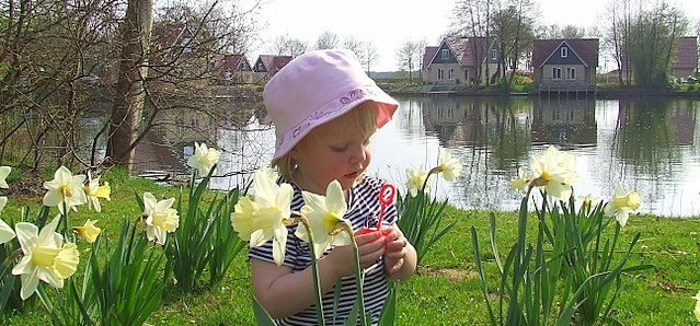 headerfoto.jpg