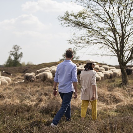 Balloerveld-Timmerholt-Schaapskudde.jpg