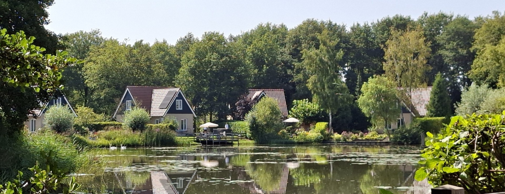 Timmerholt-Vijver-Nazomer.jpg