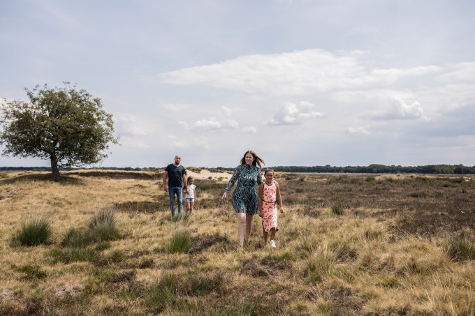 Dwingelderveld-Timmerholt.jpg