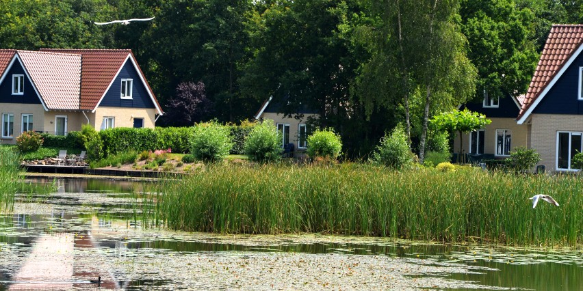 natuur op het park