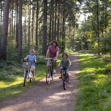 FietsenBorger