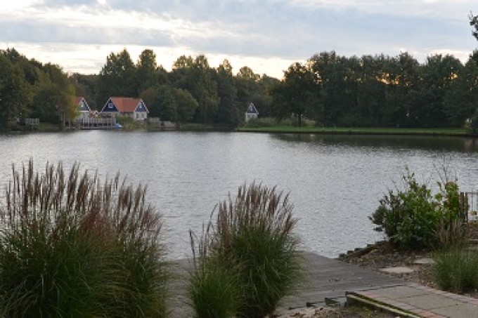 vissen vanuit eigen tuin 710 x 250