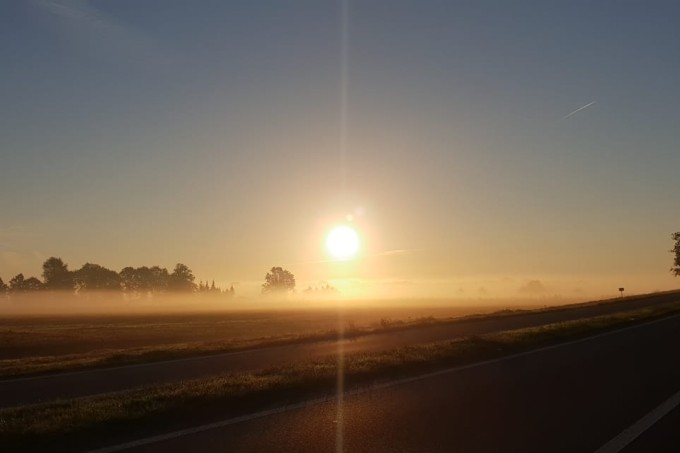 Winterzon-Timmerholt-Drenthe.jpg