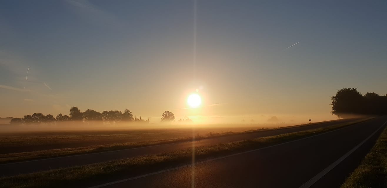 Winterzon-Timmerholt-Drenthe.jpg