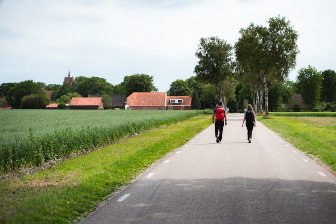 Wandelen+Drenthe+Timmerholt+2.jpg