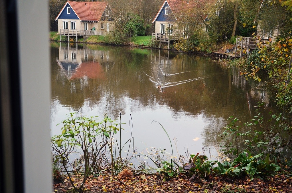 uitzicht vanaf boven.jpg