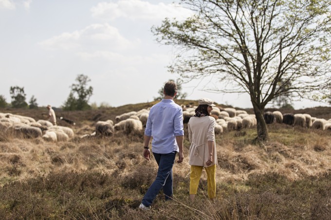 Balloerveld-Timmerholt-Schaapskudde.jpg