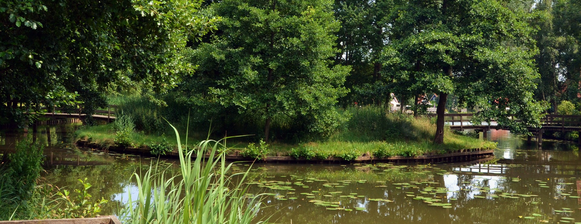 eiland in de zon