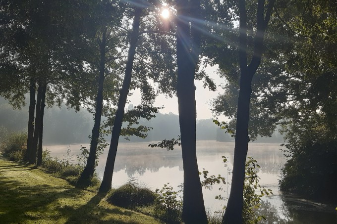 Herfst Timmerholt 2025.jpg