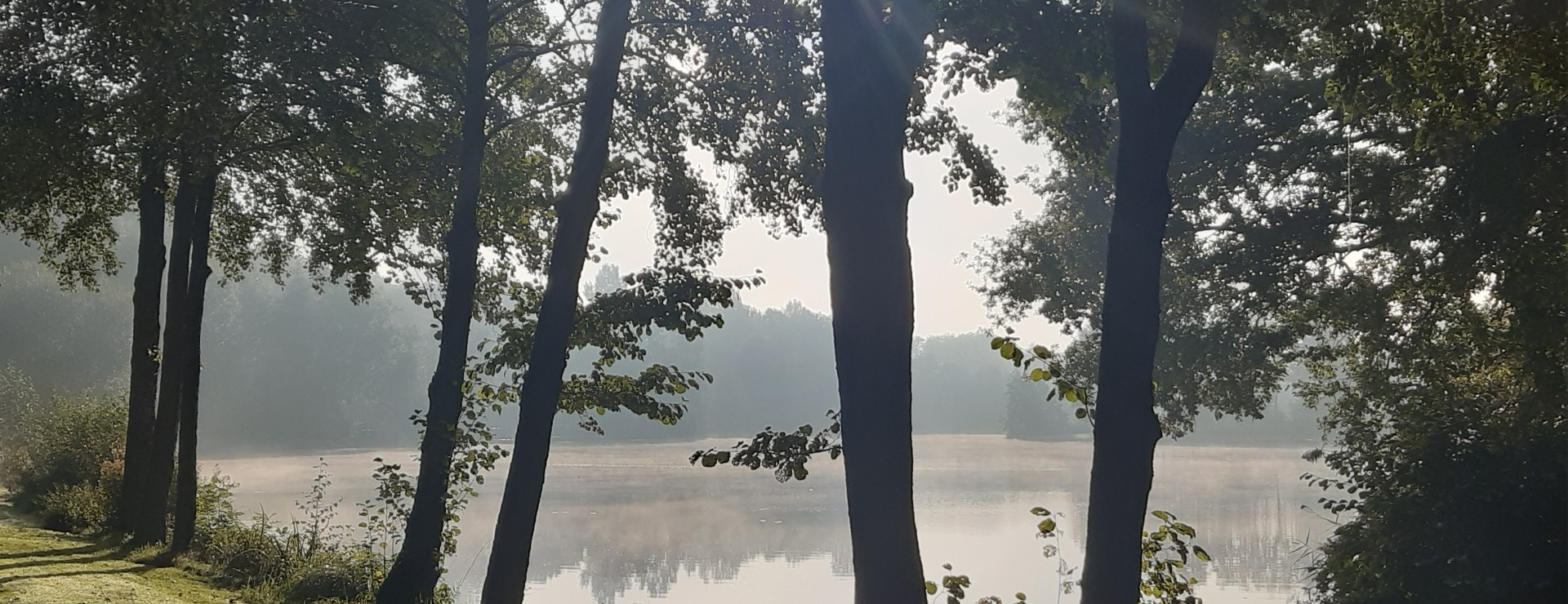 Herfst Timmerholt 2025.jpg