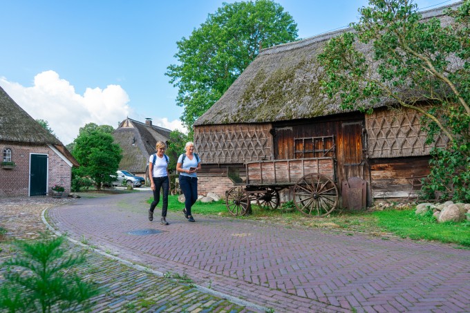 Wandelen+Drenthe+Timmerholt+3.jpg