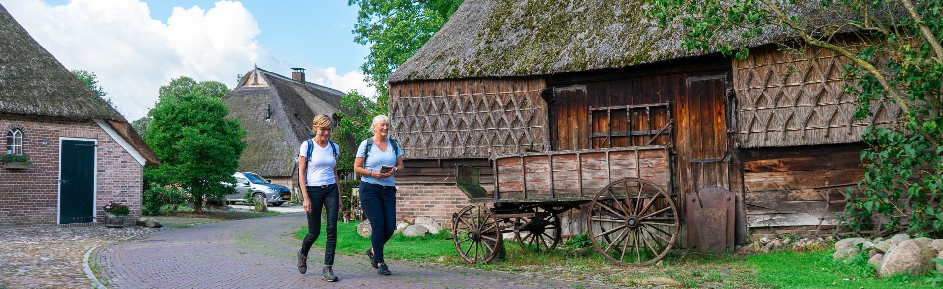 Wandelen+Drenthe+Timmerholt+3.jpg