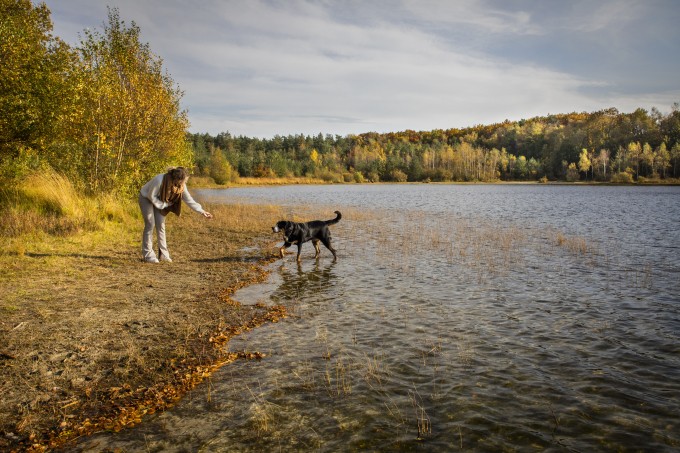 Hond Canadameer.jpg