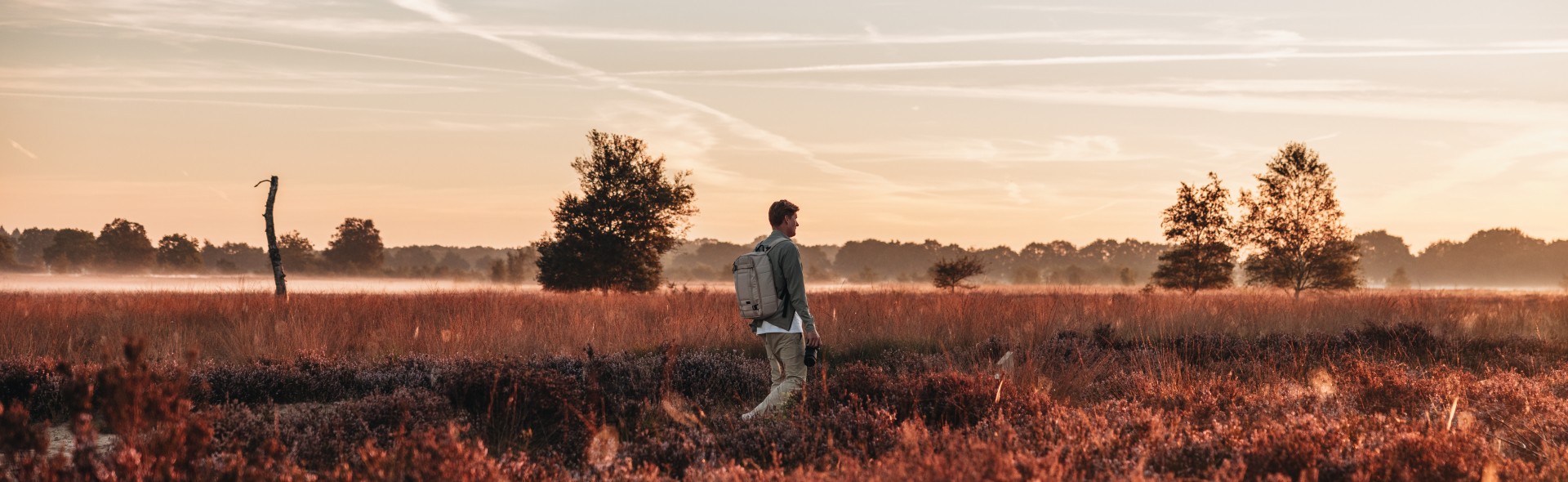 Wandelen+Drenthe+Timmerholt+4.jpg