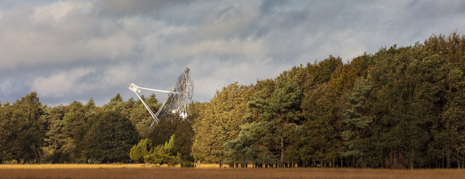 Dwingeloo-Radiotelescoop-Timmerholt.jpg