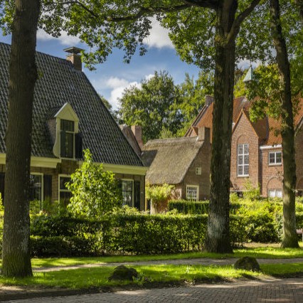 Dwingeloo-Timmerholt.jpg