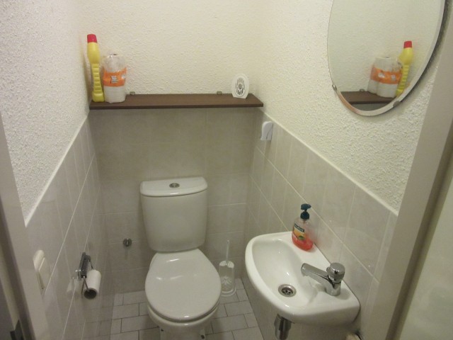 apart toilet.JPG
