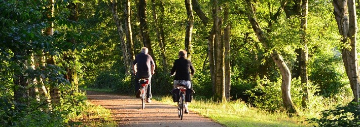 fietsen-in-drenthe.jpg