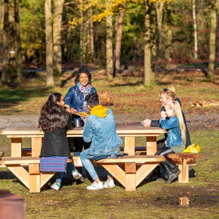 Herfst-Timmerholt-Picknickbank Anloo.jpg