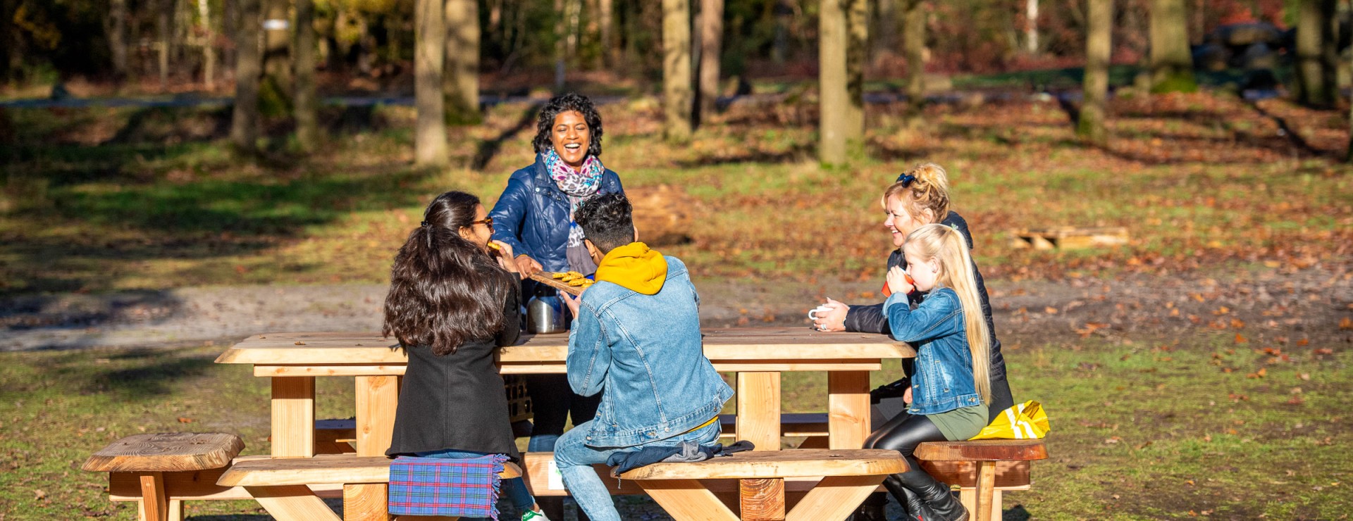 Herfst-Timmerholt-Picknickbank Anloo.jpg