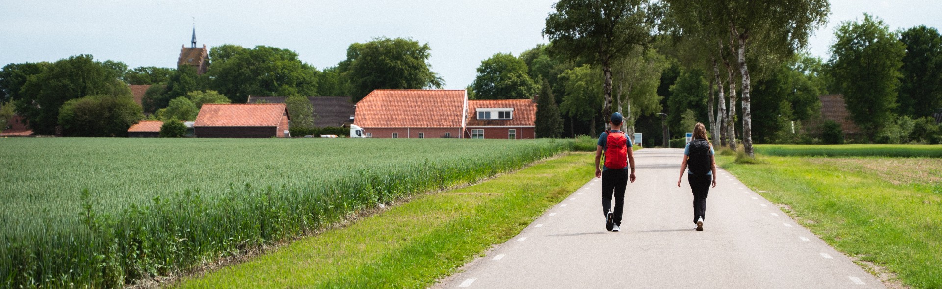 Wandelen+Drenthe+Timmerholt+2.jpg
